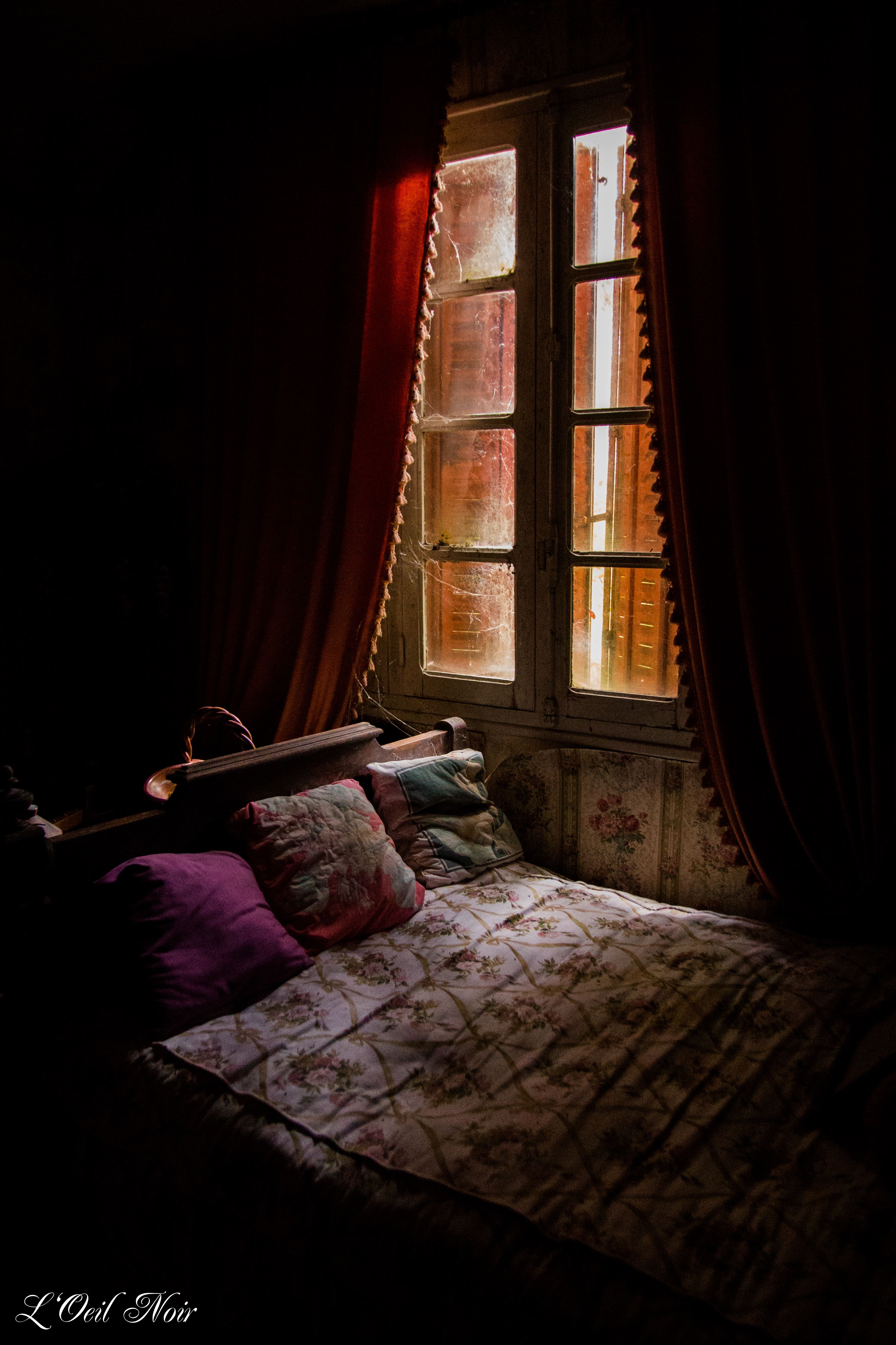 L' Oeil Noir Photographie